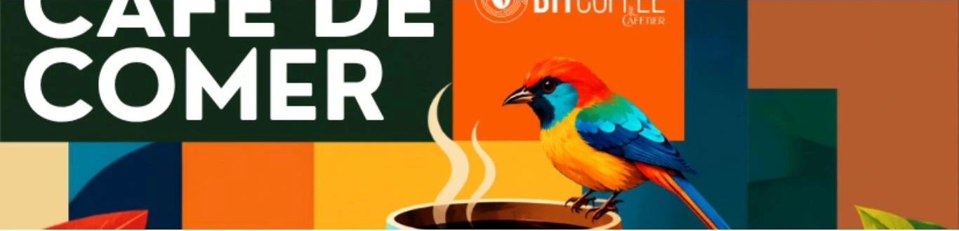 Café de comer — ilustração original Bitcoffee com pássaro brasileiro e café